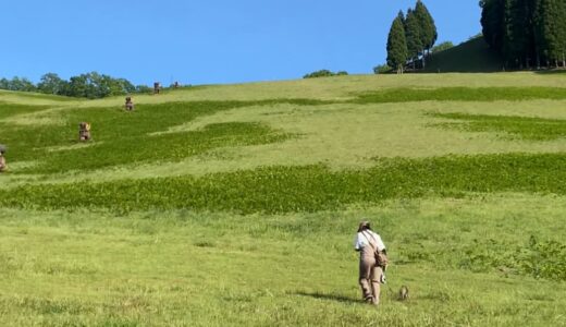 若杉高原おおやキャンプ場