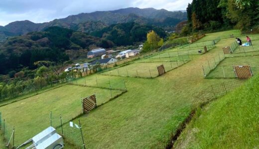 風を感じる 宙の森オートキャンプ場