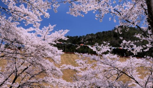 大杉ダム自然公園オートキャンプ場