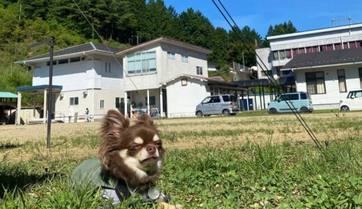 たかのす里山キャンプ場