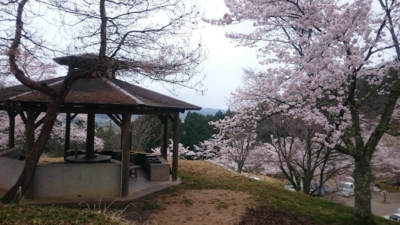 大師山自然公園キャンプ場